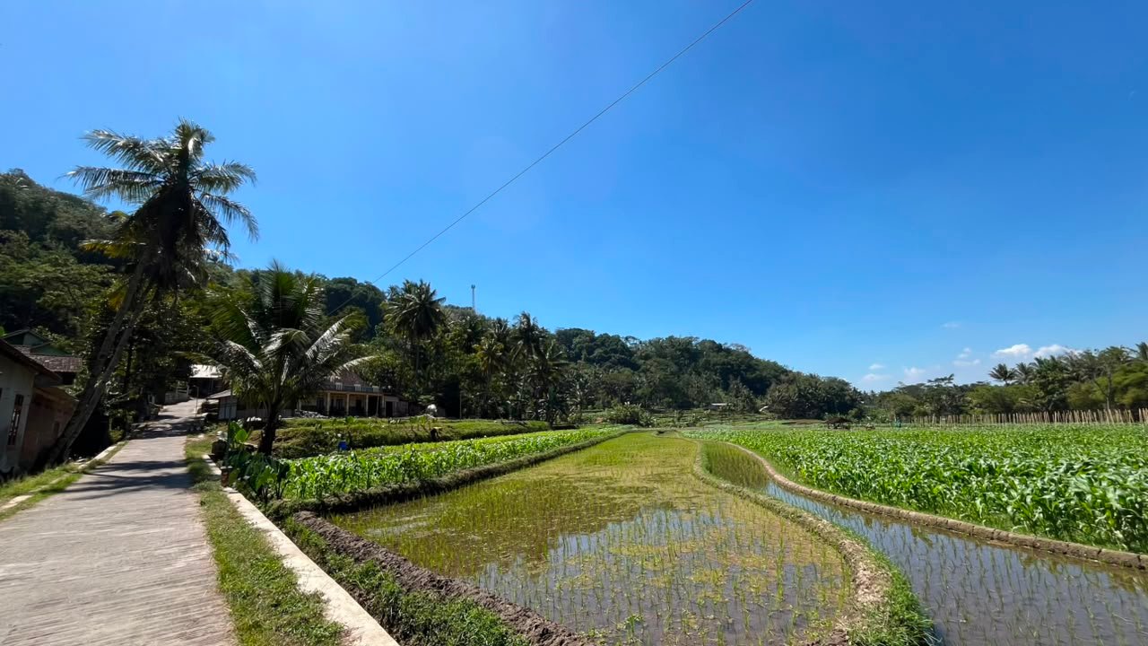 Profil Desa Duren